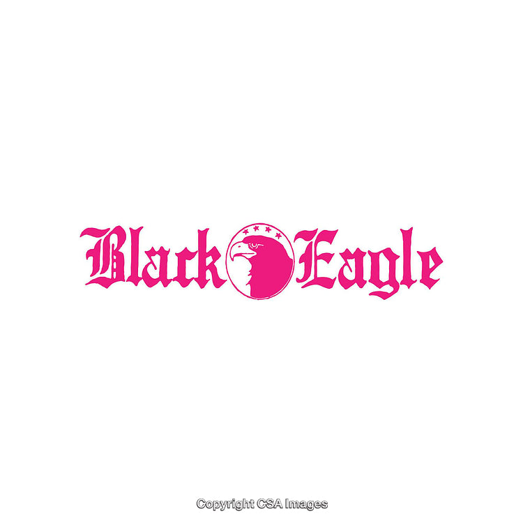 Bold Pink Black Eagle Logo Design on White Background