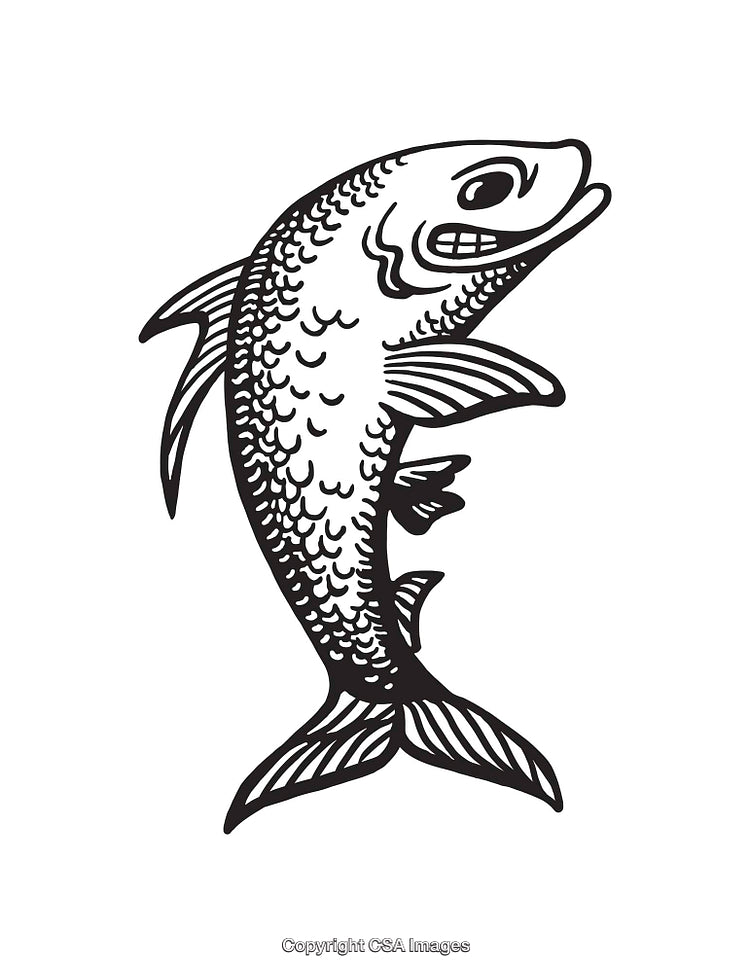 Detailed Black And White Line Illustration of a Fish Design