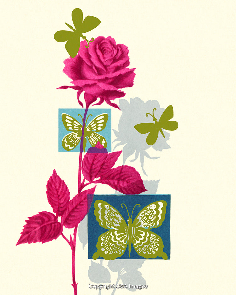 Vibrant Pink Rose with Decorative Butterflies in a Stylish Composition
