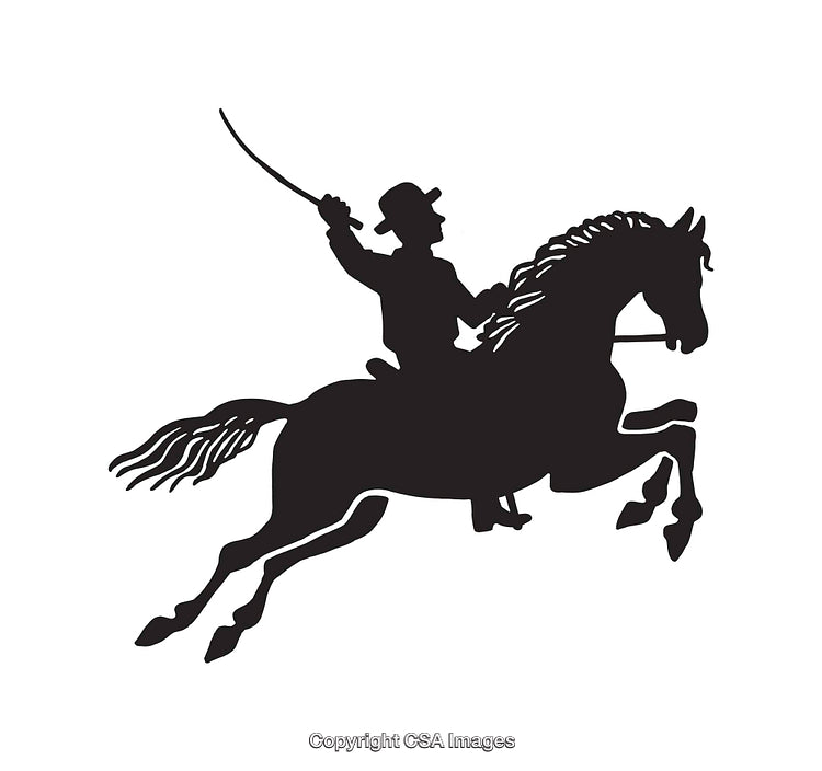 Silhouette of Horse Rider Holding a Whip in Motion