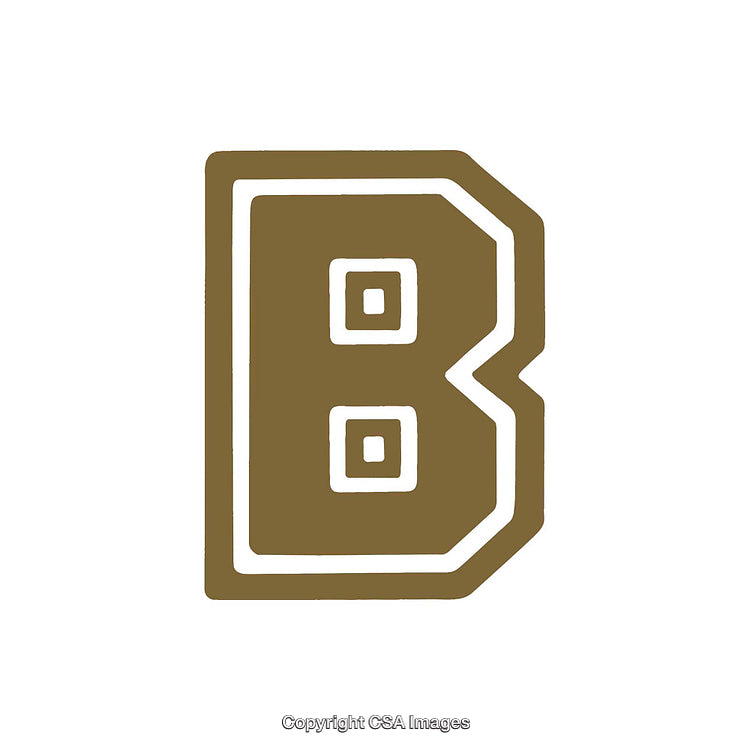 Brown Stylized Letter B Design With Blocks on White Background