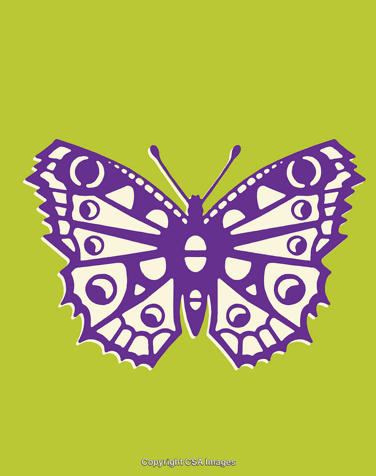 Colorful Butterfly Line Art Illustration on a Bright Green Background