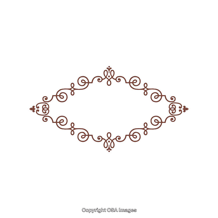 Decorative Vintage Ornamental Frame with Intricate Swirls and Borders Design