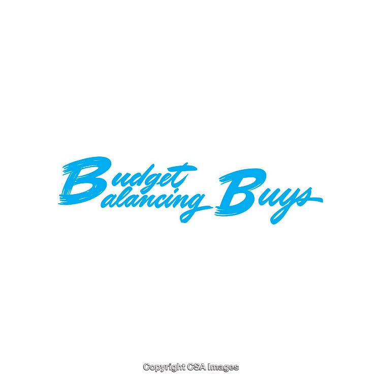 Budget Balancing Buys Text in Blue Handwritten Font with White Background