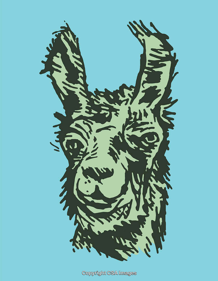 Stylized Line Art Illustration of a Llama With Blue Background