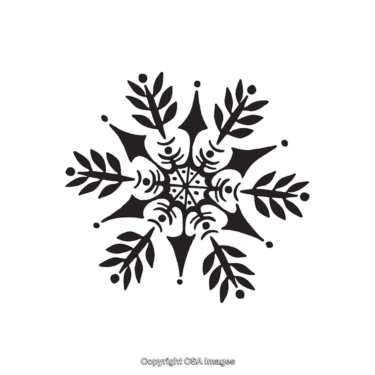Black and White Geometric Decorative Snowflake Dingbat Art