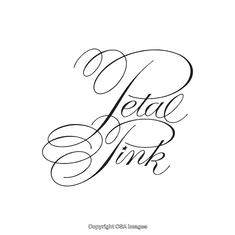 Elegant Calligraphy Logo Design Featuring Graceful Swirls and Sophisticated Style