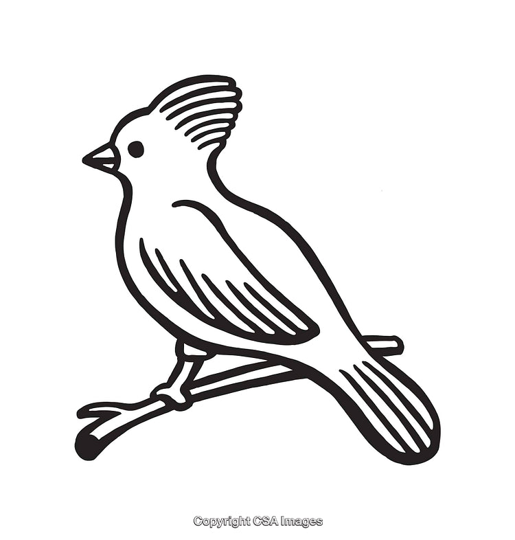 Detailed Black and White Line Art Bird Illustration on Branch