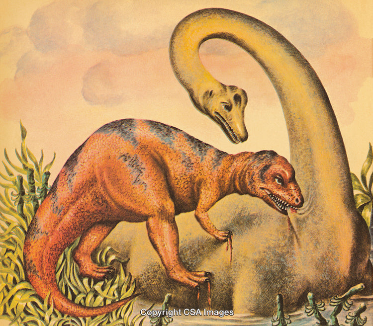 Illustration of Two Dinosaurs Interacting in a Prehistoric Landscape