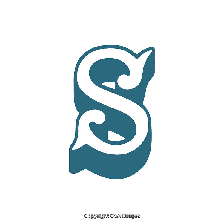 Stylized Blue Letter S with Ornate Embellishments on White Background