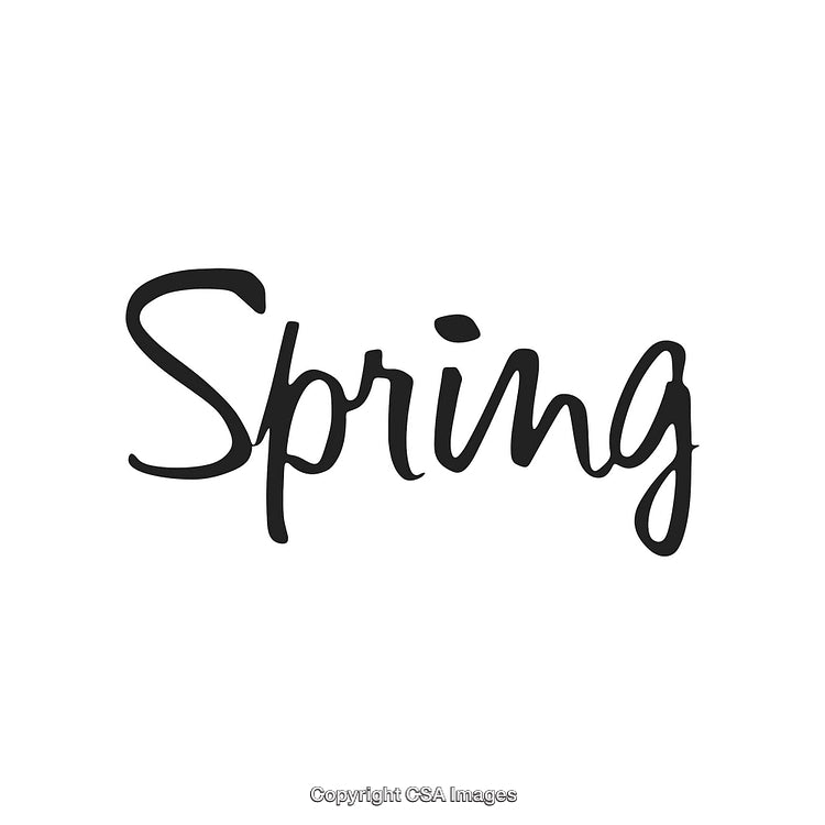 Handwritten Spring Calligraphy Beautifully Displayed on a Minimalist White Background
