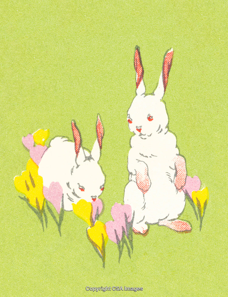 Vintage Illustration of Two White Rabbits Among Yellow and Pink Flowers