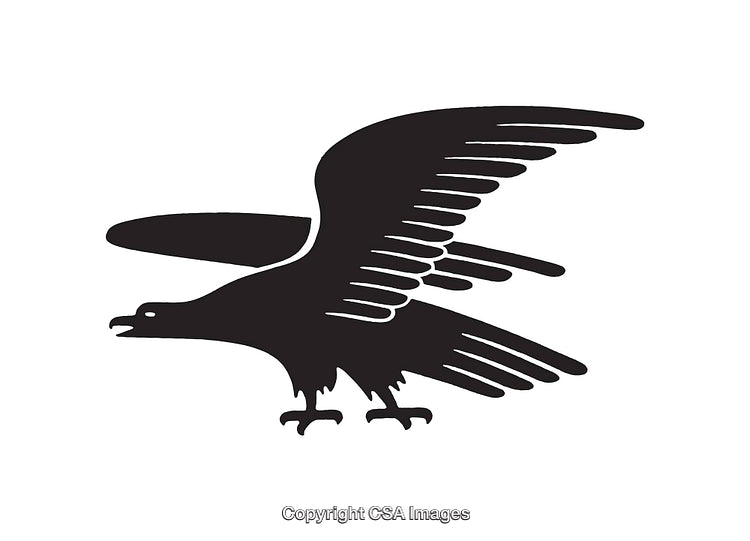 Black Silhouette Illustration of a Bird in Flight with Outstretched Wings