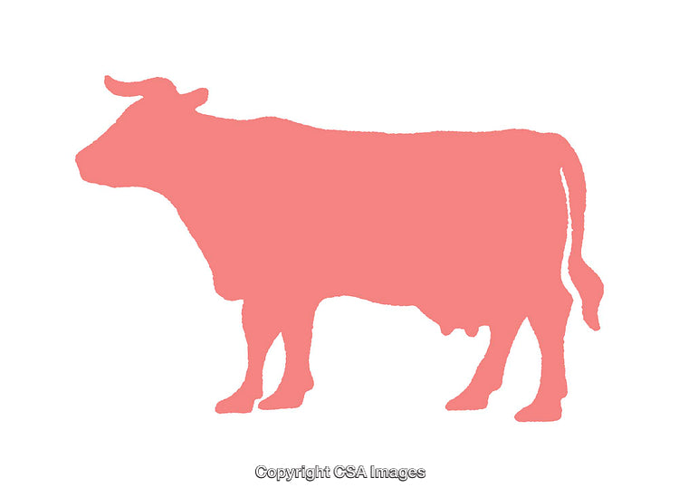 Silhouette of a Farm Cow Figure in Solid Pink Color
