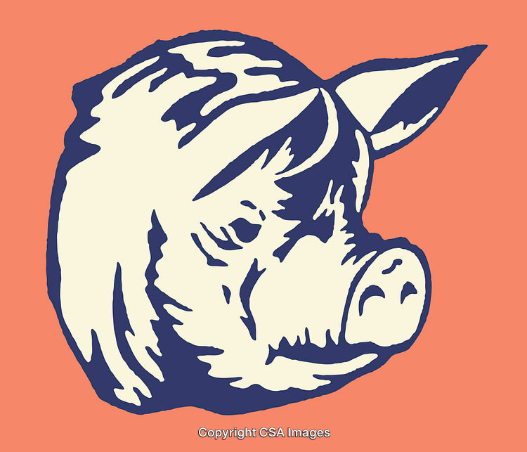 Colorful Line Art Illustration of a Pig's Head on Orange Background