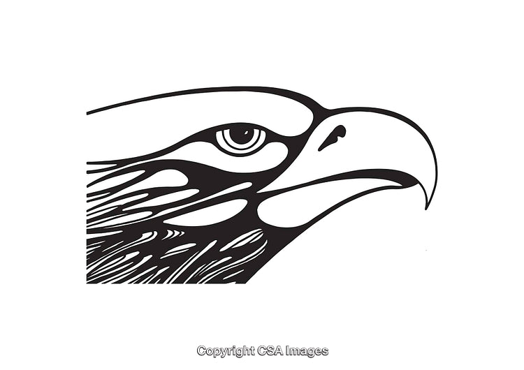 Black and White Line Art Illustration of an Eagle's Head Profile