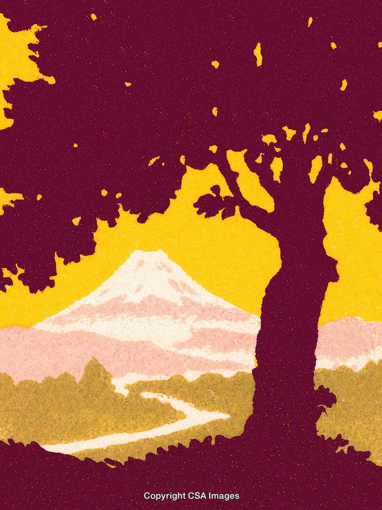 Silhouette of Tree and Mountain Landscape in Vibrant Sunset Hues