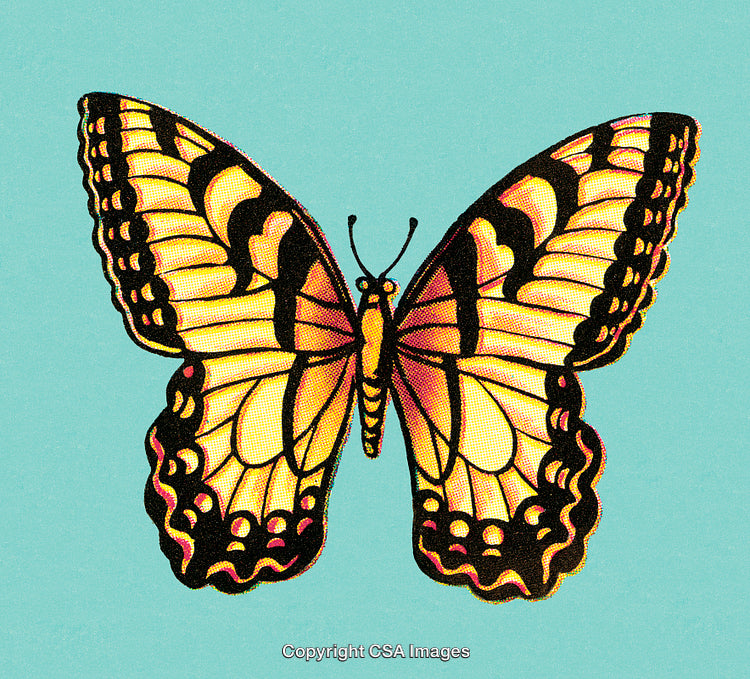 Vibrant Yellow and Black Butterfly Illustration on a Light Blue Background