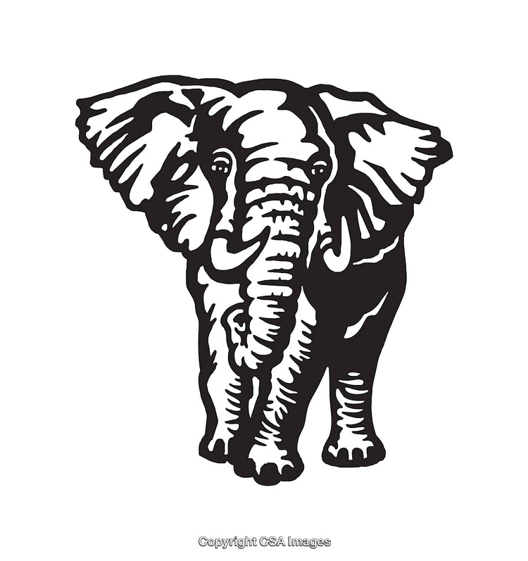 Black and White Line Art Illustration of an Elephant Facing Forward