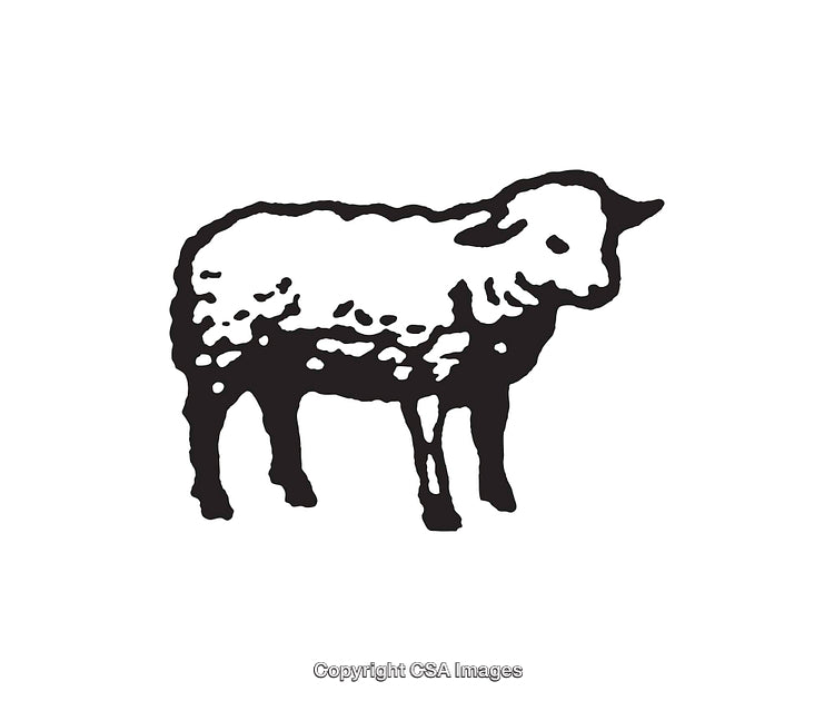 Black and White Line Art of a Sheep in Minimalist Style