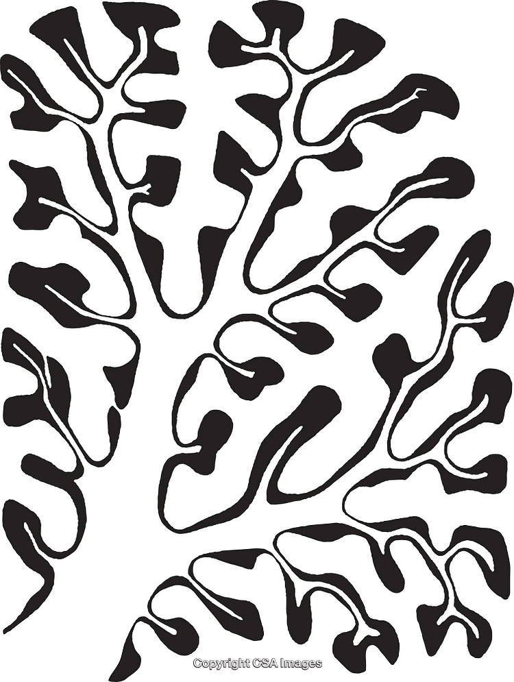 Abstract Black and White Art Featuring Tree-Like Patterns