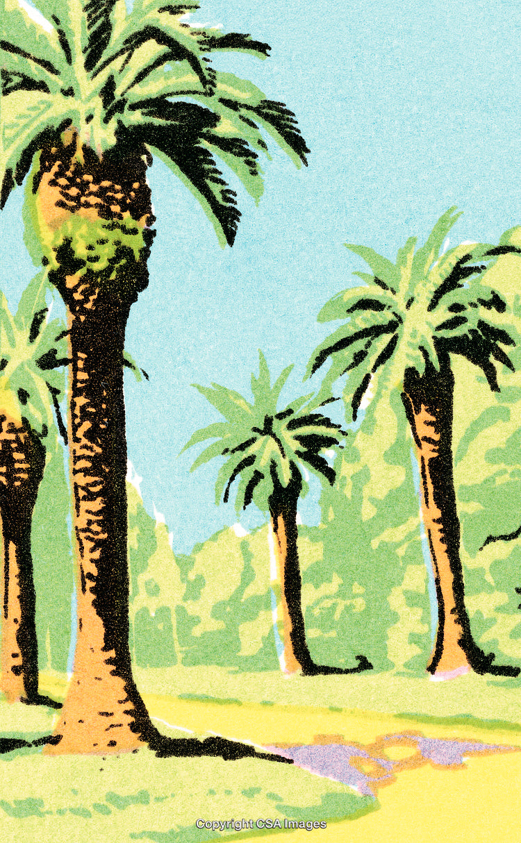 Scenic Palm Tree Landscape Illustration With Vibrant Colors and Tropical Atmosphere