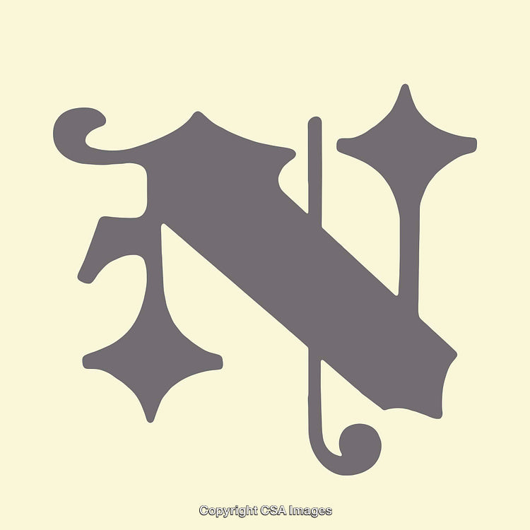 Elegant Decorative Letter N in Vintage Typography Style