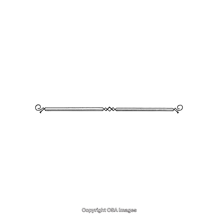 Elegant Minimalist Black and White Decorative Border Design Element