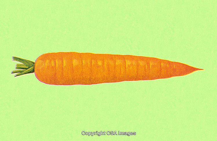 Fresh Orange Carrot on a Bright Green Background for Healthy Concept