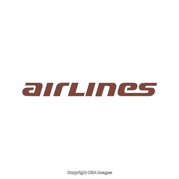 Minimalistic Brown Text Design Featuring A Bold Airlines Theme