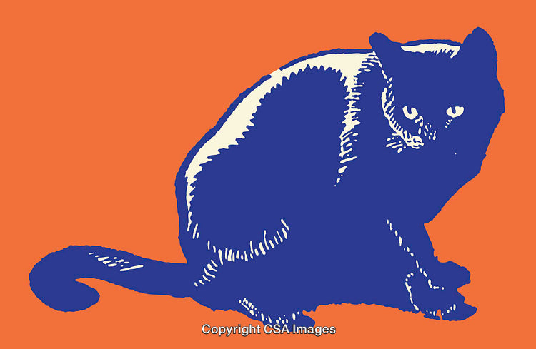 Bold Line Art Illustration of a Cat on Vibrant Background