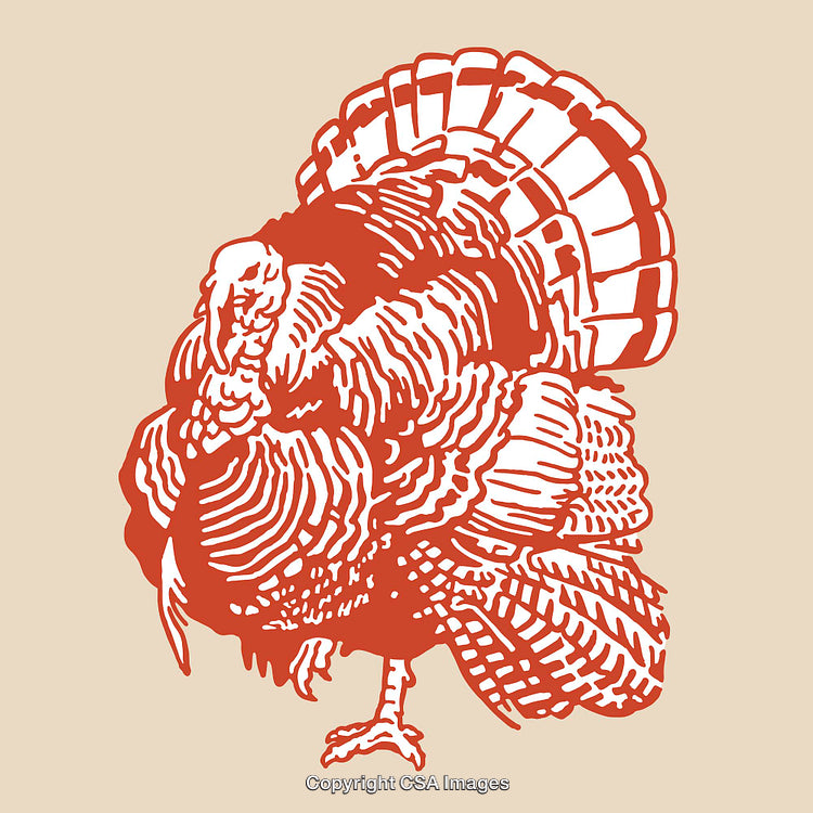 Red Line Art Illustration of a Turkey with Intricate Feather Details