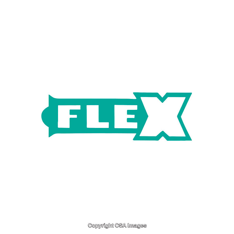 Bold Teal Flex Logo Design on a Clean White Background