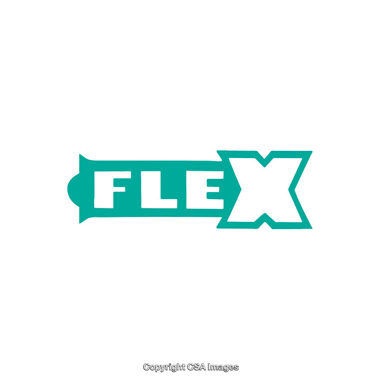 Bold Teal Flex Logo Design on a Clean White Background