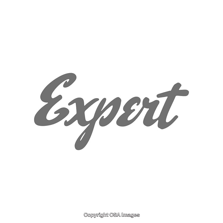 Stylish Script Typography Featuring the Word "Expert" in a Modern Design