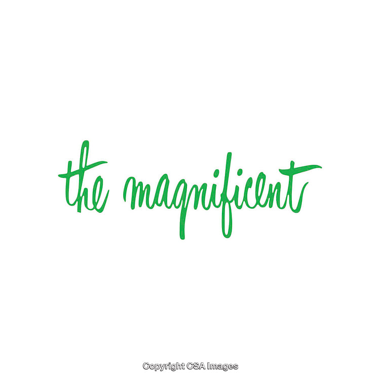 Green Handwritten Typography Reading 'The Magnificent' on White Background