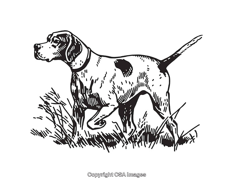 Black and White Illustration of a Hunting Dog in Pointing Stance