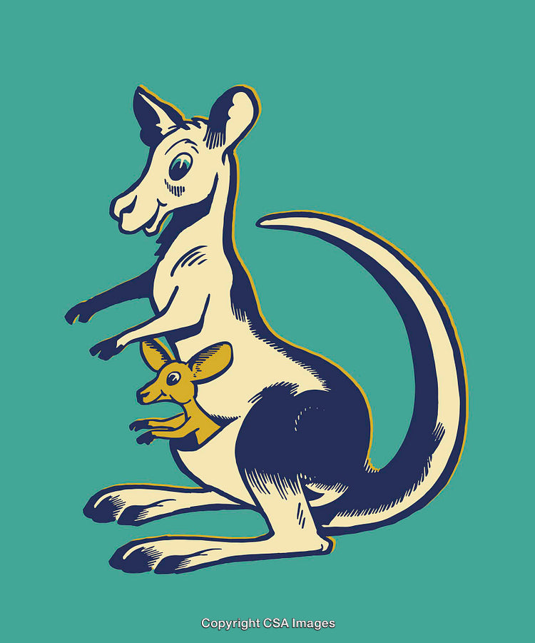 Illustrative Kangaroo with Joey in Vintage Colorful Line Art Style