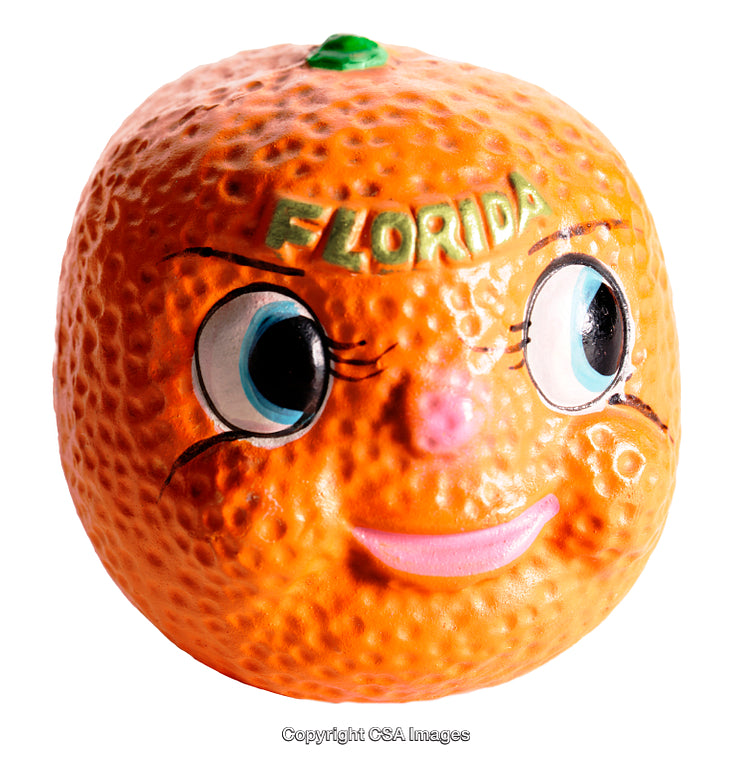 Smiling Anthropomorphic Orange Toy with Florida Inscription on White Background