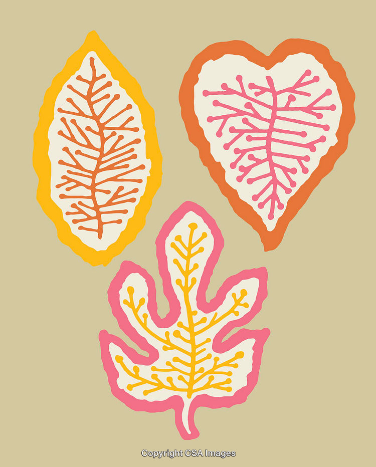 Collection of Colorful Abstract Leaf Illustrations on Beige Background