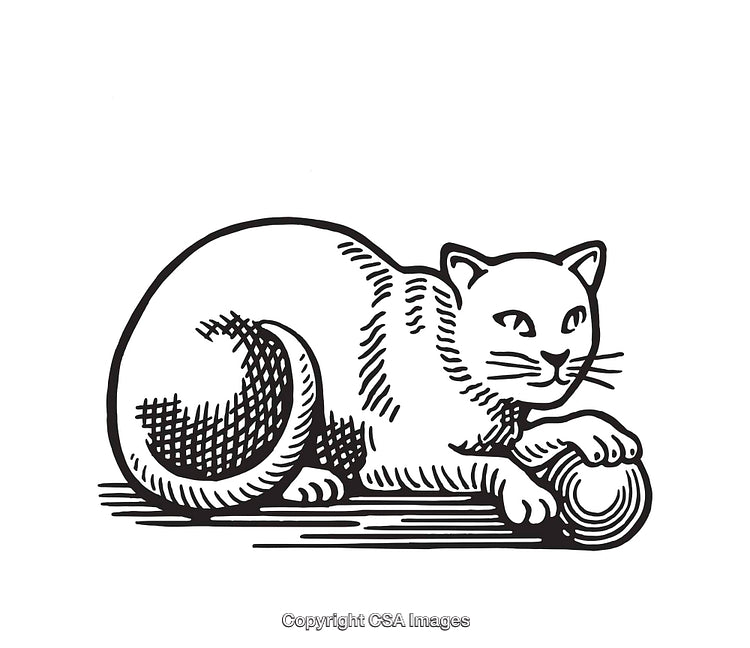 Black and White Illustration of Cat Playing With a Ball