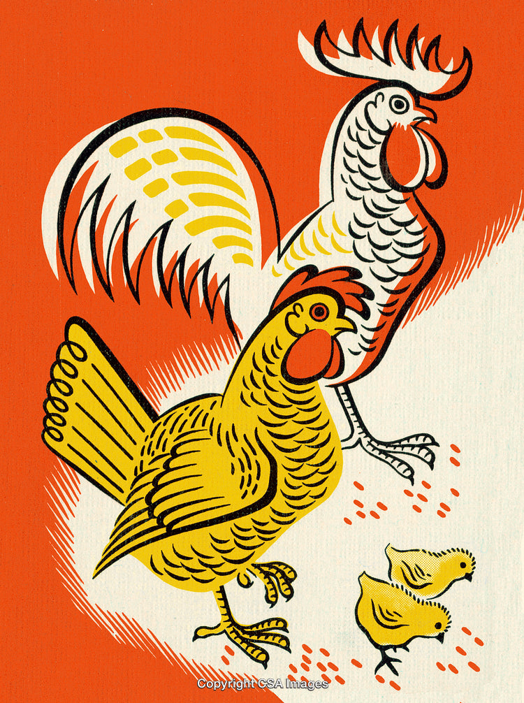 Colorful Illustration of a Rooster, Hen, and Chicks on a Vibrant Background