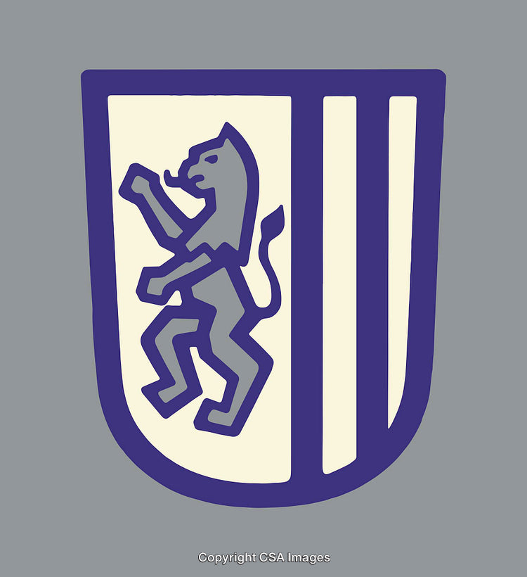 Coat of Arms Featuring Lion on Striped Heraldic Shield Design