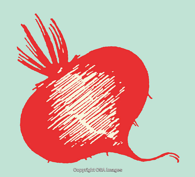 Colorful Line Art Beetroot Illustration on Light Blue Background