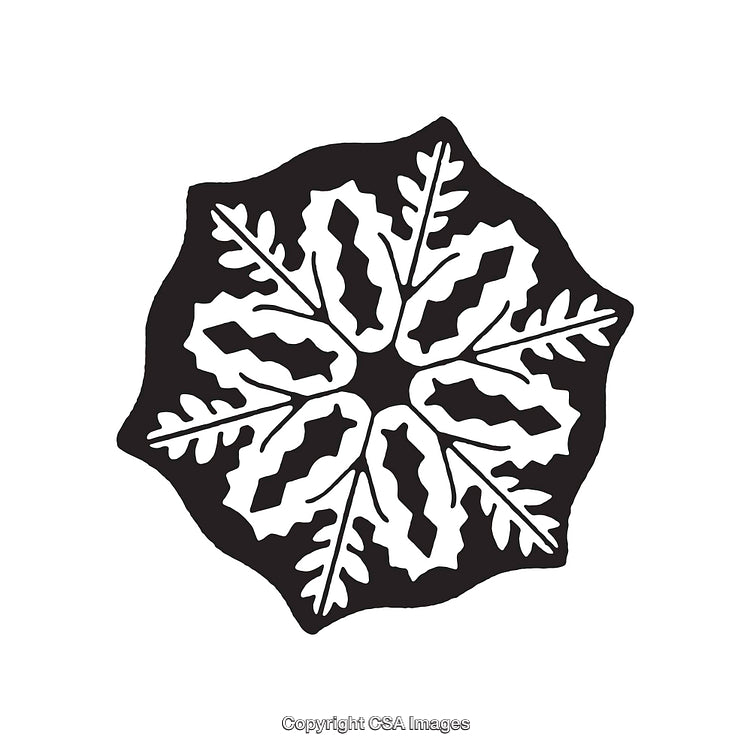 Black and White Line Art Illustration with Intricate Symmetrical Design