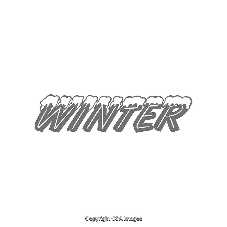 Decorative Winter Word Design with Snowy Lettering Artistic Style