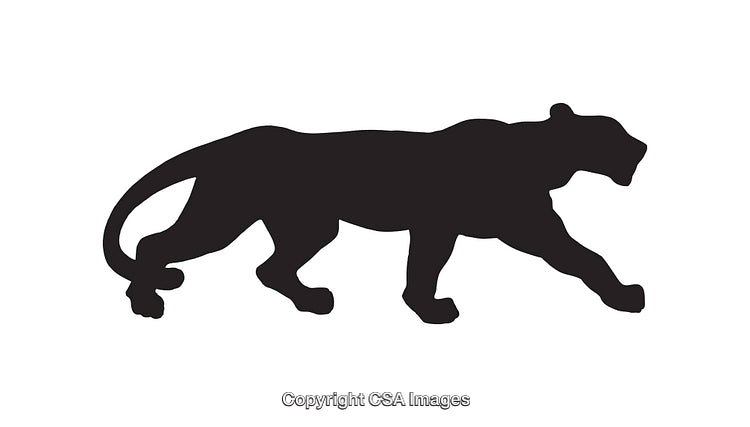 Silhouette of a Graceful Panther Walking in Line Art Style