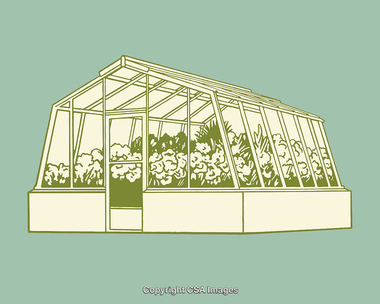 Greenhouse Illustration Featuring Plants and Vegetation in Line Art Style