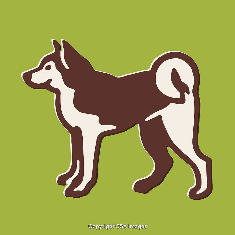 Stylized Line Art Illustration of a Dog on a Green Background