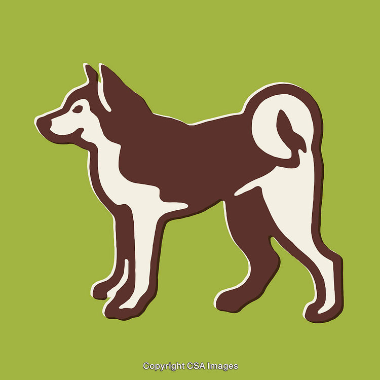Stylized Line Art Illustration of a Dog on a Green Background